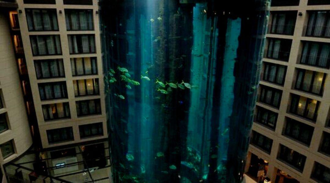 Halrobbanás Berlinben: odaveszett a világ legnagyobb akváriuma, és lakói