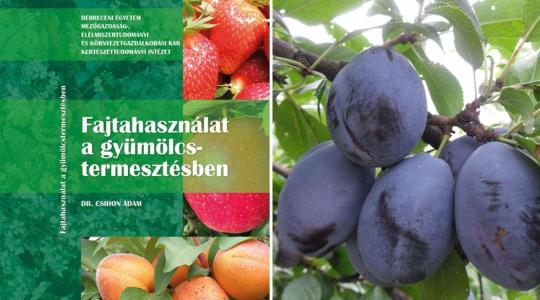 Új tankönyv a gyümölcsfélék fajtahasználatáról