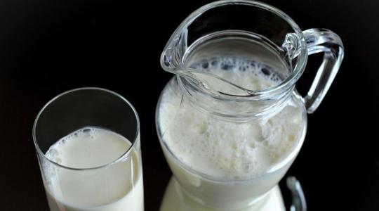 Mikotoxin szennyezés a tejben – mit tehet a kistermelő?