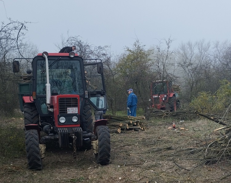 téli munkák az erdőn mTZ trakorral