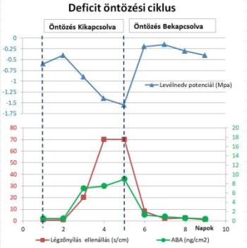 deficit öntözési ciklus