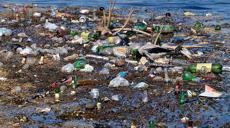 Romániában évek óta súlyos környezetszennyezést okoz, hogy több tonnányi műanyag palack és faanyag kerül a folyókba, melynek egy része átjut Magyarországra