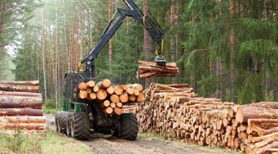 Erdészeti gépek intenzív igénybevételhez és a legkeményebb terepekre is