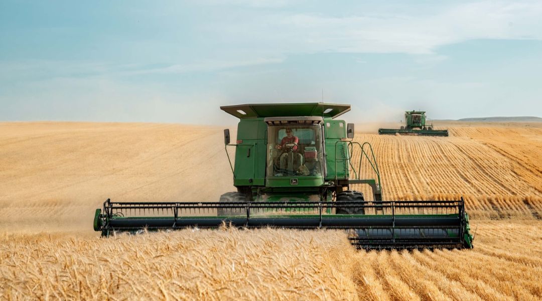 A gabonaárak továbbra is 50,4 százalékkal magasabbak a 2014-2016-os átlagárakhoz képest. Kép: Unsplash