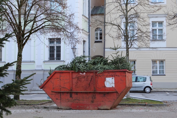 fenyőfa gyűjtőben