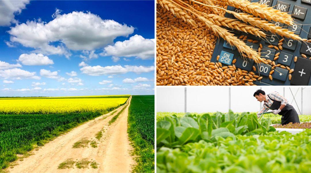 Itt tudod újranézni a Közös Agrárpolitika webinárium előadásait!