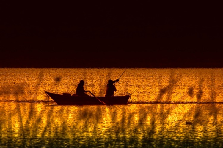 horgászat éjszaka csónak