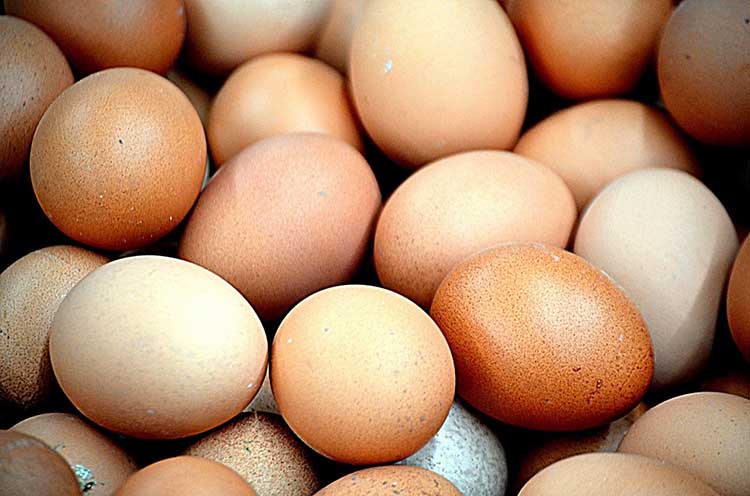 Pár hónap alatt jelentősen emelkedett a tojás ára