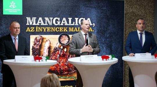 Te mennyire ismered a mangalicahúst? 