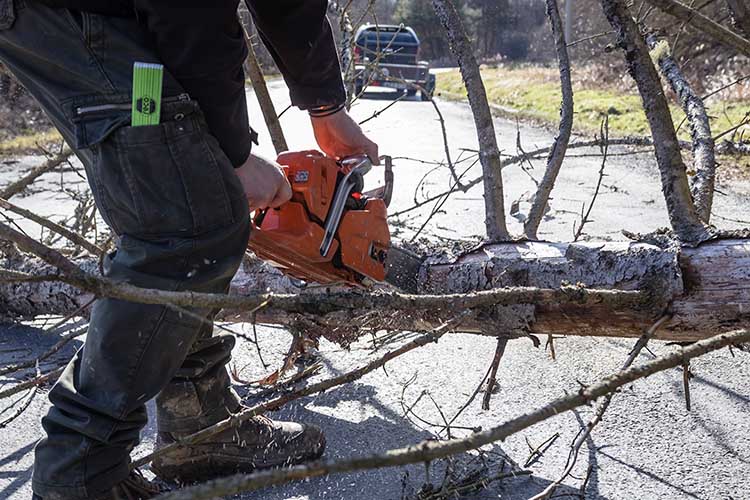 Viharban az útra dőlt fát fűrészel egy férfi a Vas vármegyei Csörötnek és Kondorfa között 2023. február 4-én