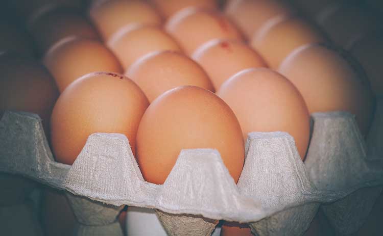 Magyarországon a tojás 2023. januárban 79,4 százalékkal volt drágább, mint egy évvel korábban