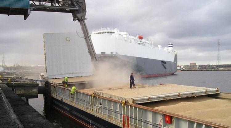 Hétfőn tizenkét gabonát szállító hajó hagyta el az ukrán kikötőket.