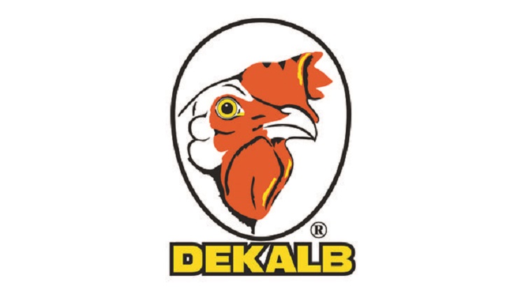 dekalb tojóhibrid brend logója