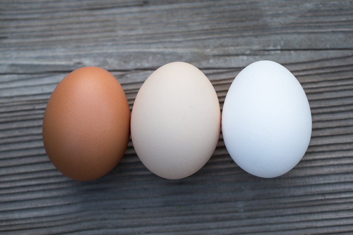 Középen látható a kedvelt beige tojáshéj árnyalat – fotó: Búza Ildikó / MATE