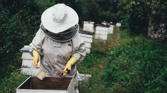 Nagy István: a méz címkéjén szerepelni fog a származási ország jelölése