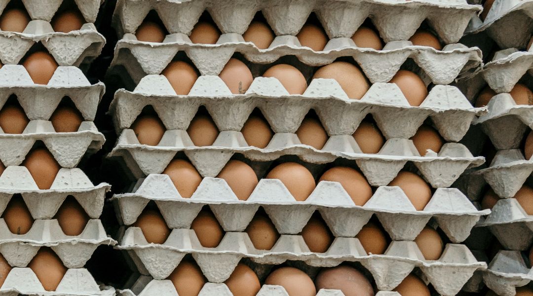 Az amerikai Szövetségi kereskedelmi bizottságnak (FDC) meg kellene vizsgálnia a magas tojás árakat, mivel a vezető tojáselőállító cégeknél is áremelkedéseket tapasztaltak.
