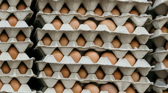 Amerikában botrányt okoztak a magas tojásárak