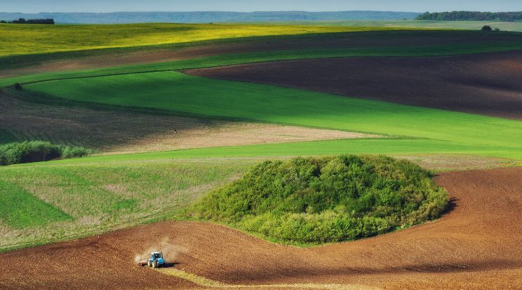 2022-ben az ukrán hazai mezőgazdasági termékek Lengyelországba szállításának értéke több mint két és félszeresére nőtt, és elérte a 2,71 milliárd dollárt.