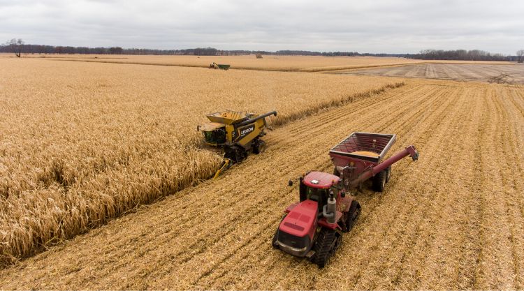 Az előrejelzések szerint képesek lesznek évente több mint három millió tonnával növelni Ukrajna gabonaszállítási kapacitását.