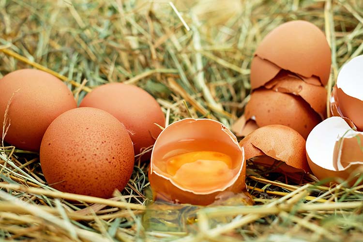 Az étkezési tojás (M+L) csomagolóhelyi ára 12,5 százalékkal volt drágább február végén, mint egy évvel korábban