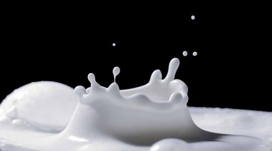 Közel 1 milliárdból fejleszt új élelmiszer-összetevőket a magyar tejipari vállalat