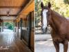 A Running Springs-i Deluxe lovas farm megint eladósorba került