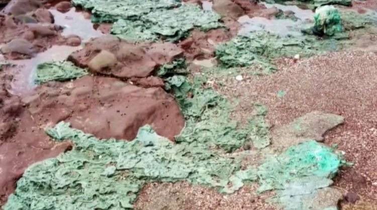 A brazíliai Trindade-sziget vulkanikus geológiája évek óta lenyűgözi a tudósokat, ám a nemrégiben felfedezett műanyag törmelékből álló kőzetek.
