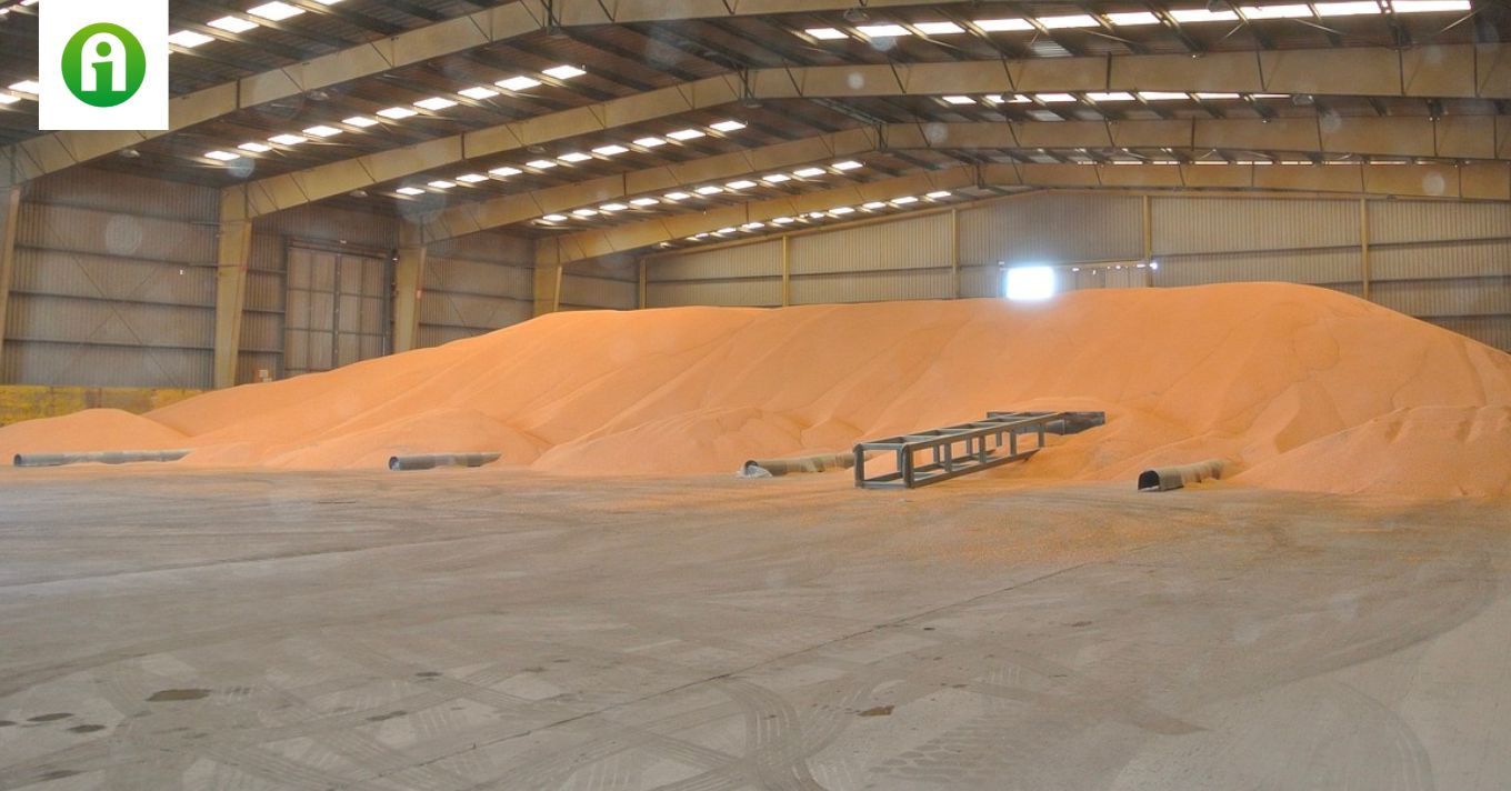 Пшеница на складе в мешках. Амбар для хранения зерна. Зерно в ангарах. Хранение и складирование зерна. Склад зерна.