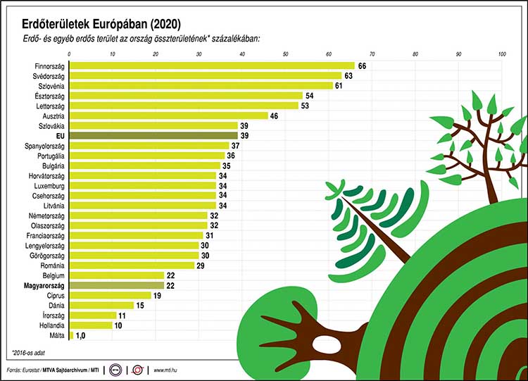 Erdőterületek Európában