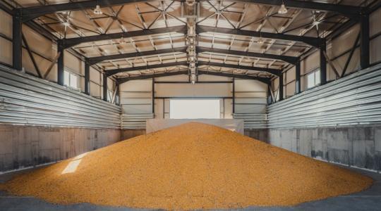 Terményeladás: sok termelő az utolsó pillanatban van a gabonakereskedő szerint