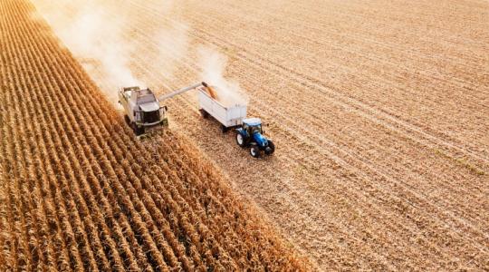 Minden gazda számára súlyos a kérdés: érdemes-e idén kukoricát vetni? 