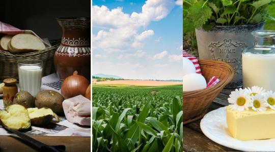 A GMO-mentes termelés fontos értéke a magyar agráriumnak – VIDEÓ