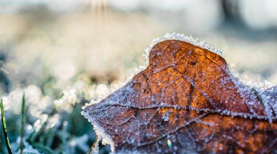 7 napos időjárás-előrejelzés: Visszatérnek az éjszakai fagyok