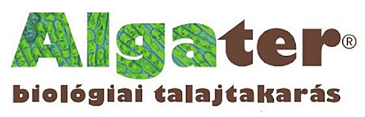 Algater talajalga