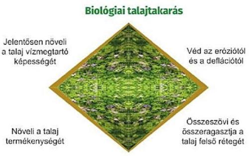 A biológiai talajtakarás előnyei 