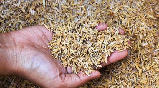 Égetett rizshéjból gumiabroncs – ez aztán környezetbarát