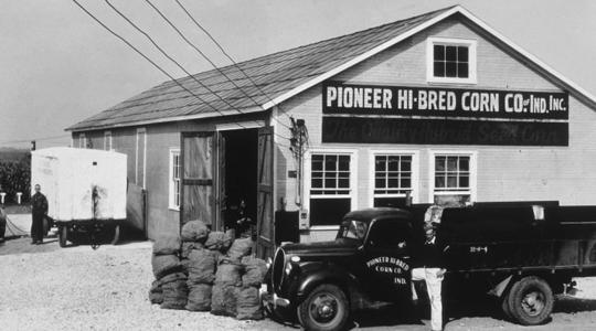 A Pioneer® 97 éves tapasztalattal rendelkezik a kukoricahibridek nemesítésében