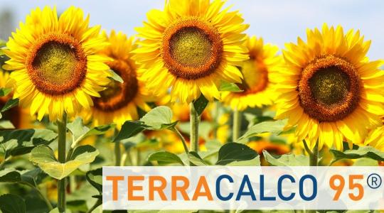 A tápanyagszolgáltató képesség javítása TerraCalco 95-tel