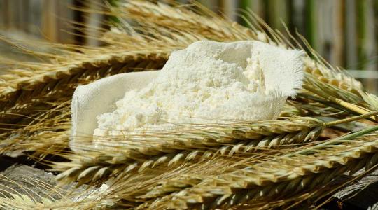 Szlovákia is meglépte: ideiglenesen leállítja az ukrán gabona importját
