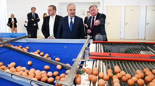 Ez Magyarország legnagyobb tojástermelő telepe!