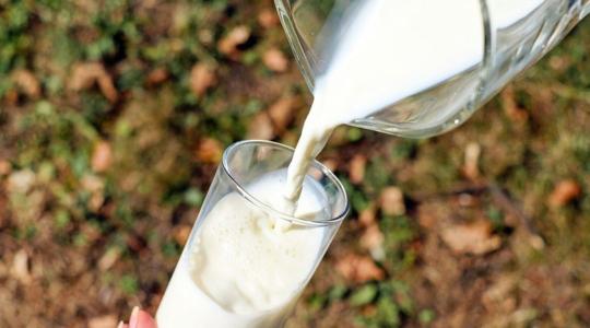 Gondot okoznak Ukrajnában a beözönlő lengyel tejtermékek