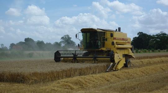 Ukrán gabona: A vámtarifák és kvóták visszaállítását követelik a V4 országok agrárkamarái 