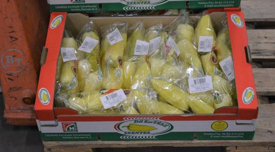 DélKerTÉSZ: több magyar zöldség kerülhet a boltok polcaira