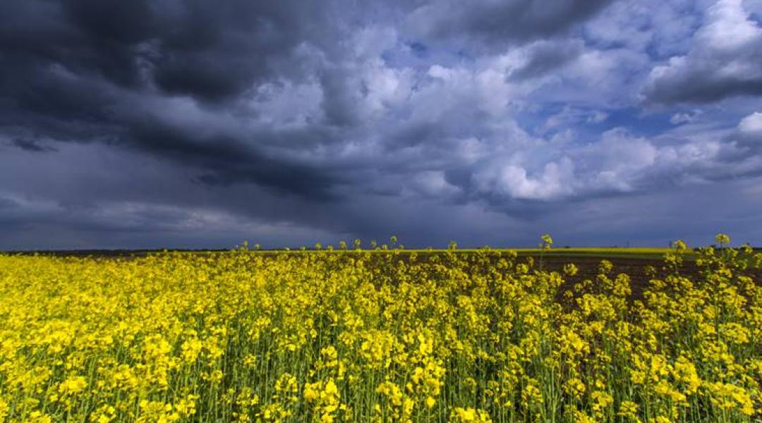 30 napos időjárás-előrejelzés: Meghozza a május az aranyat érő esőt?