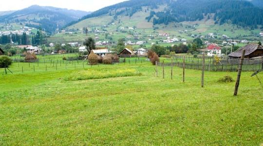 Románia 60 millió euró hitelt kap a mezőgazdasági környezetszennyezés fékezésére
