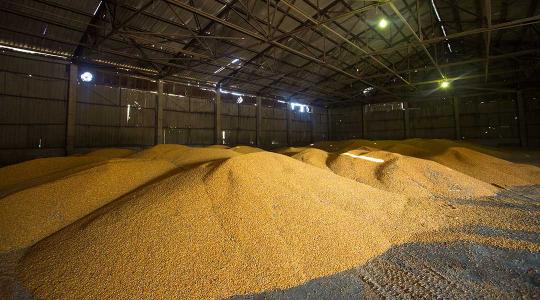 Nem maradhat az ukrán mezőgazdasági termékek importtilalma, de jön az EU-s segítség