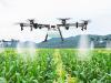 Drónos permetezés: mutatjuk, hogyan optimalizálható a növényvédőszer-felhasználás