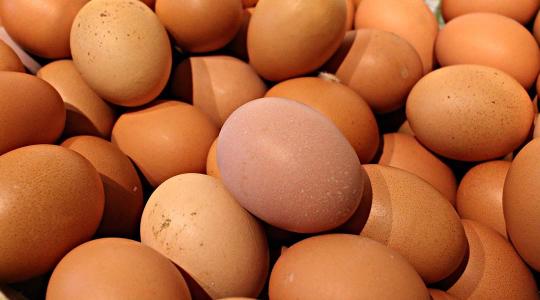 Brutálisan megnövekedett az értékesített tojás mennyisége