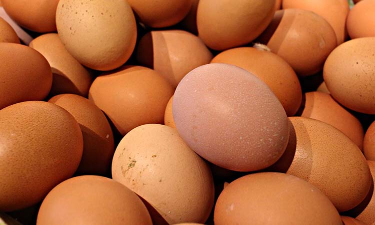 a ketreces tartásból származó étkezési tojás (M+L) csomagolóhelyi ára 65,88 Ft/db volt
