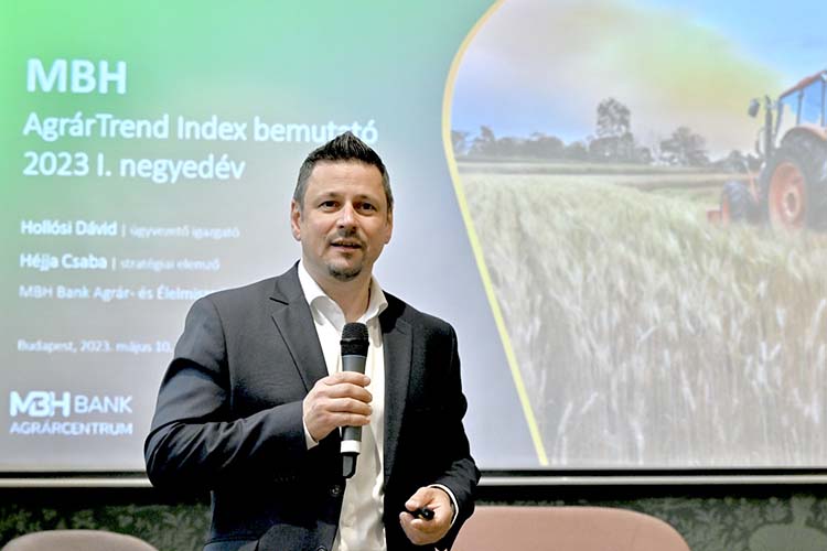 Hollósi Dávid, az MBH Bank Agrár- és Élelmiszeripari Üzletágának ügyvezető igazgatója